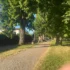 cesta v parku v létě