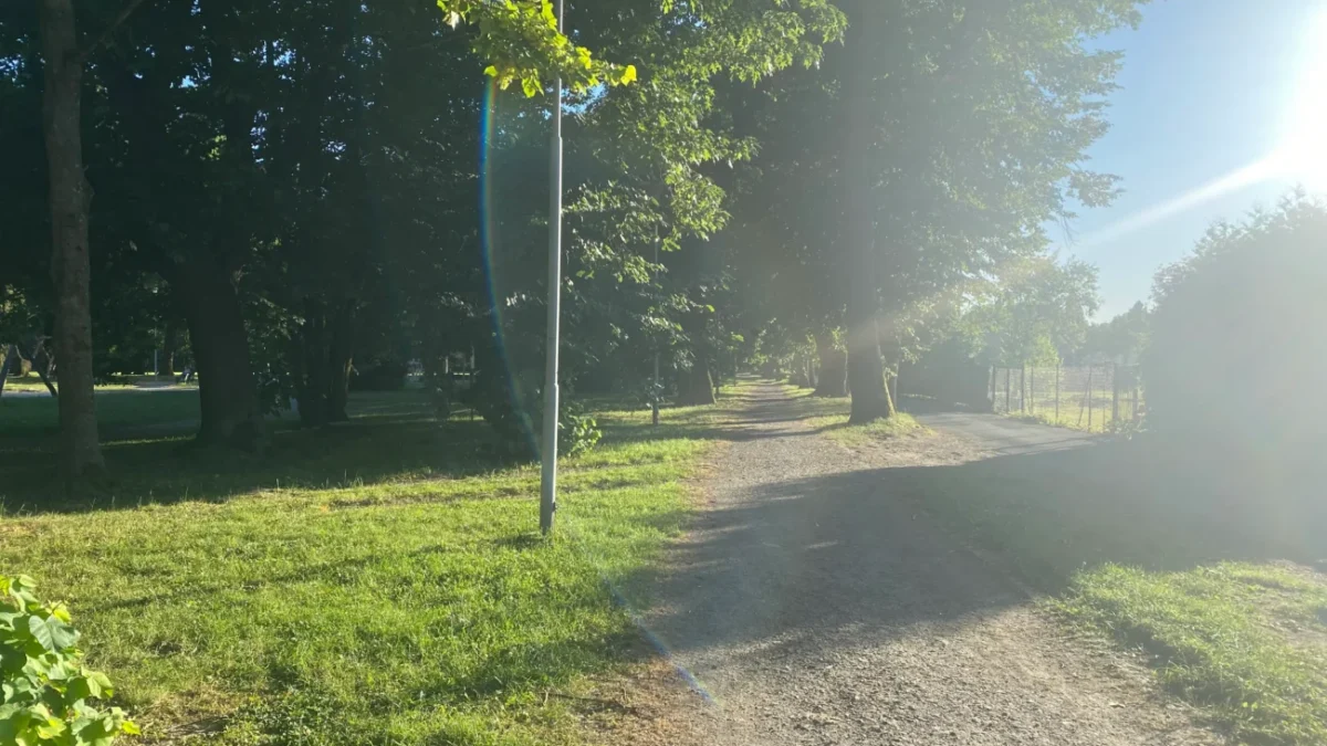 ulice zalitá sluncem v parku Karviná