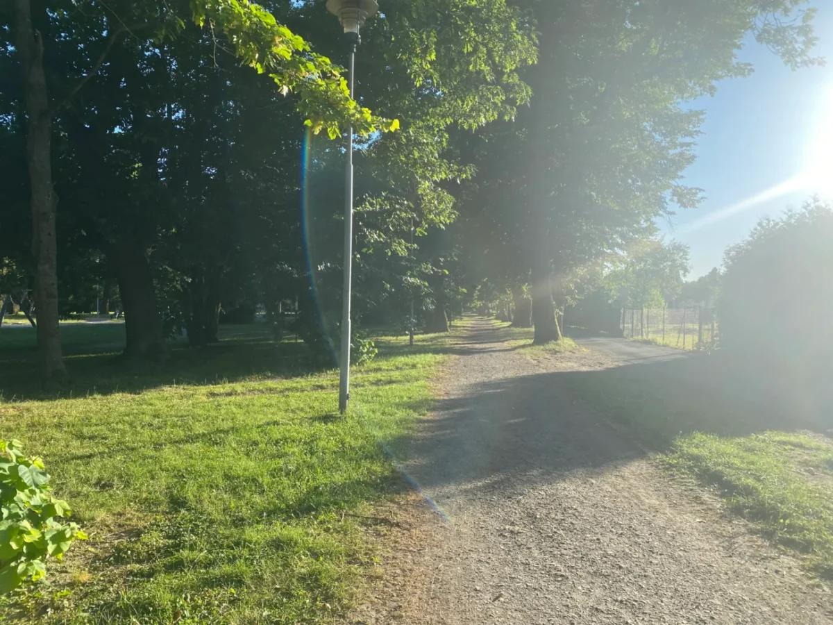 ulice zalitá sluncem v parku Karviná