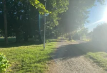 ulice zalitá sluncem v parku Karviná