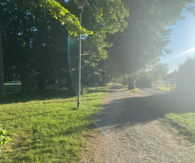 ulice zalitá sluncem v parku Karviná