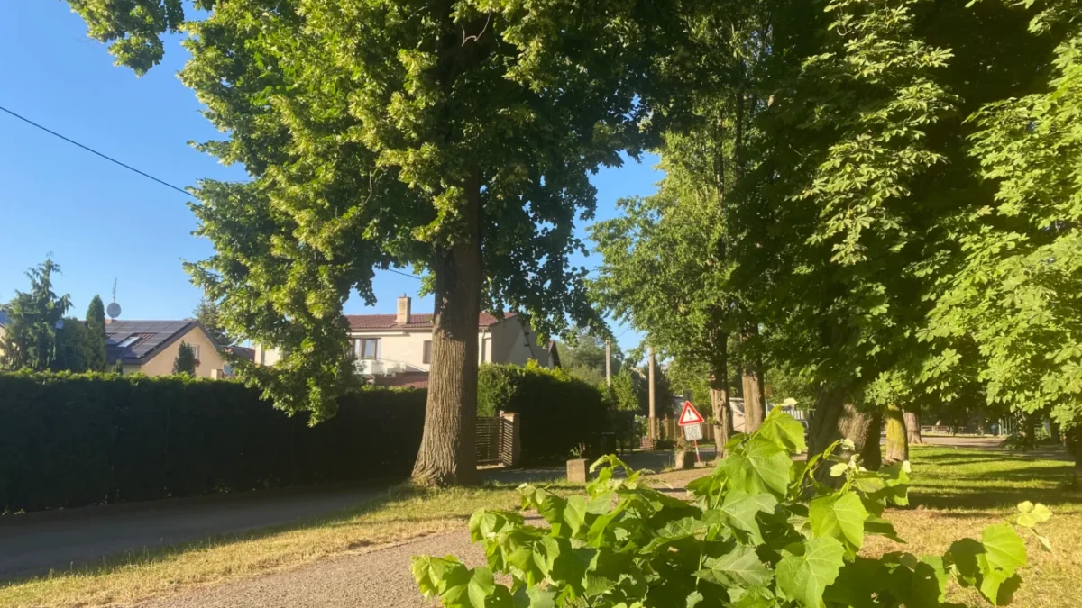 letní park