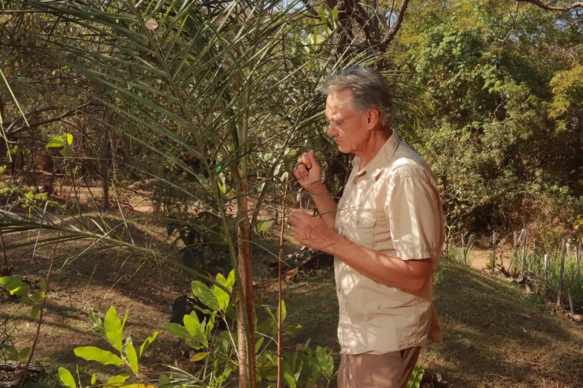 Muž stojí u palmy.