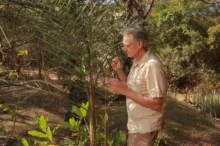 Muž stojí u palmy.