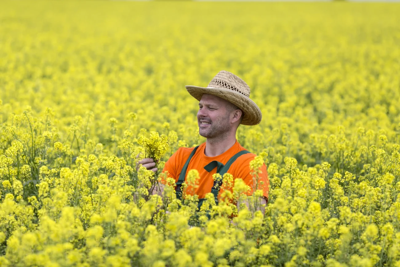 shutterstock_667527079-2 | TVGURU.cz Muž něco pozoruje v řepce.