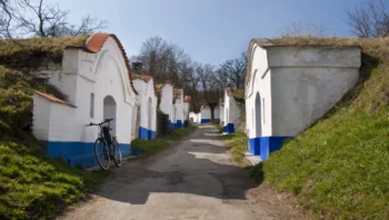 vinné sklípky