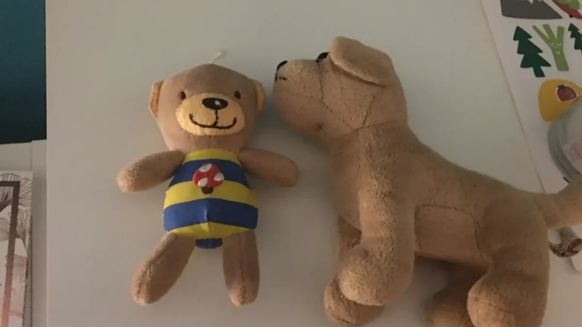 plyšový pes hračka s medvídkem