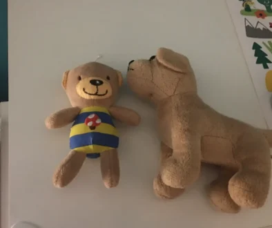 plyšový pes hračka s medvídkem