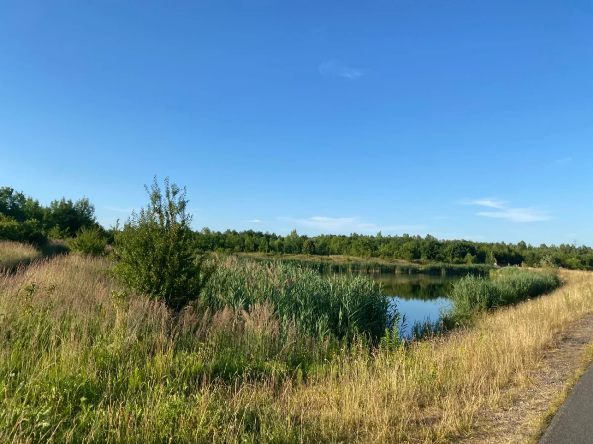 louka s řekou v Karviné léto 2025