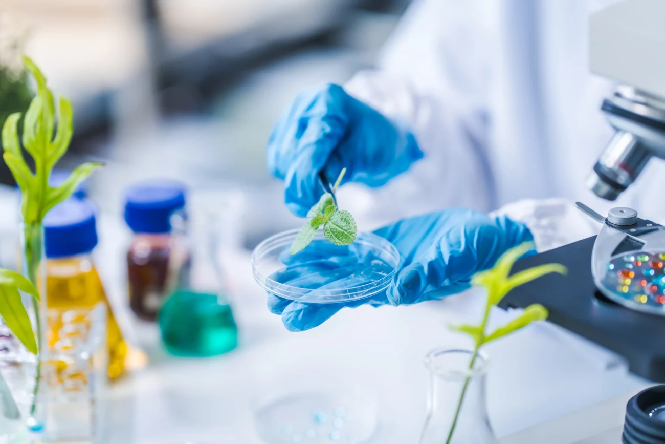 shutterstock_2445099181 1 | TVGURU.cz Muž v gumových rukavicích zkoumá rostlinu v laboratoři.
