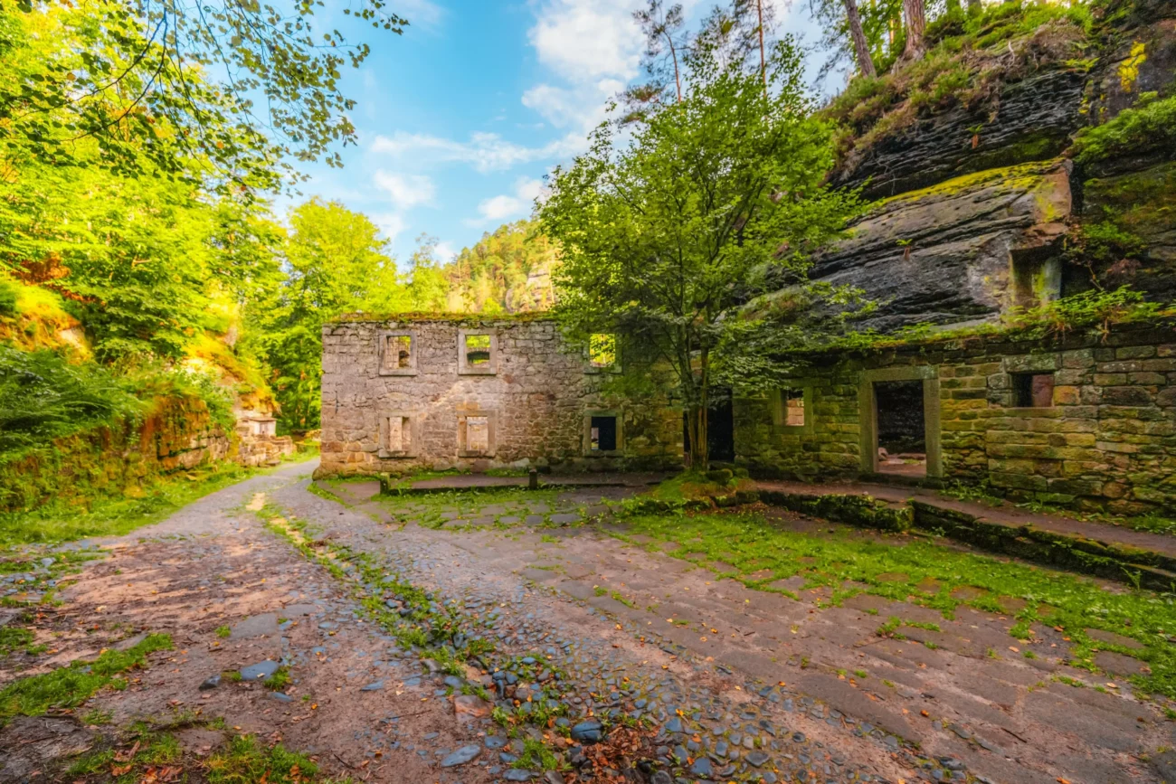 shutterstock_2556652497-min | TVGURU.cz zřícenina v lese