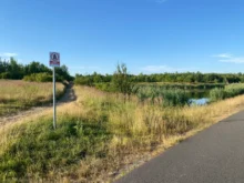 louka v Karviné včera