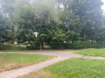 cesta v parku při deštivém počasí