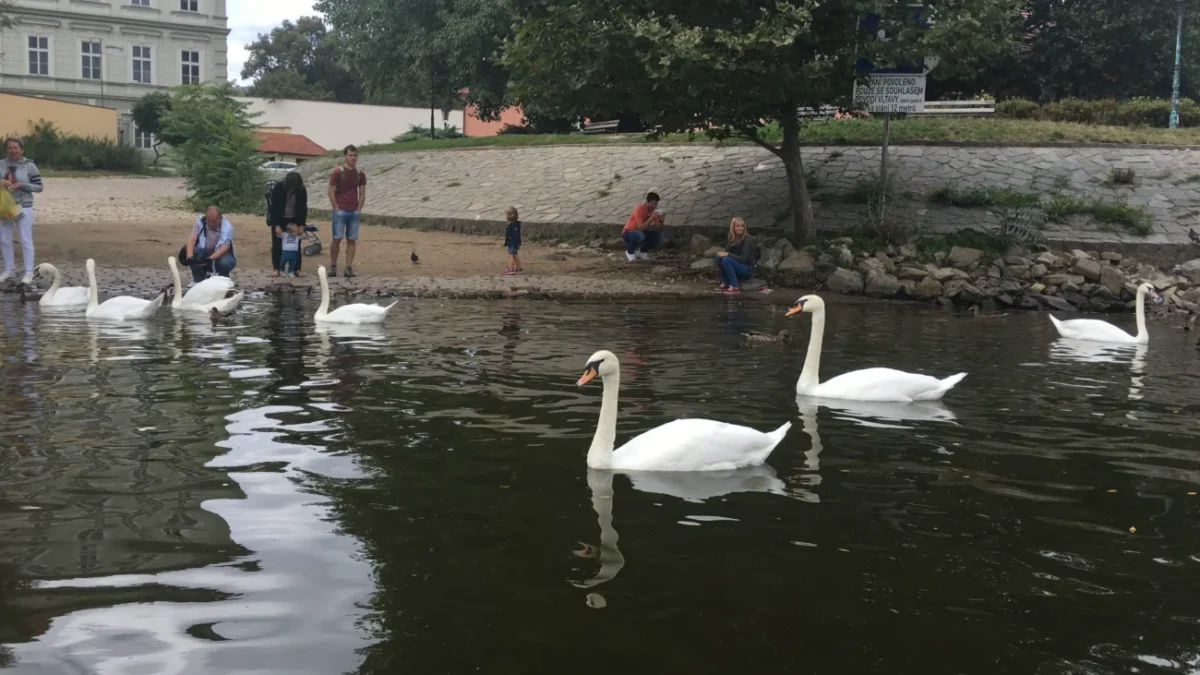 řeka Vltava v Praze
