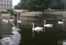 řeka Vltava v Praze