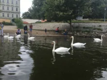 řeka Vltava v Praze