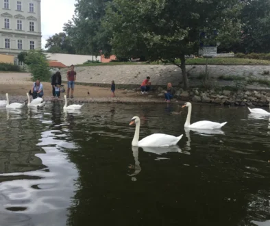 řeka Vltava v Praze