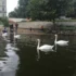 řeka Vltava v Praze