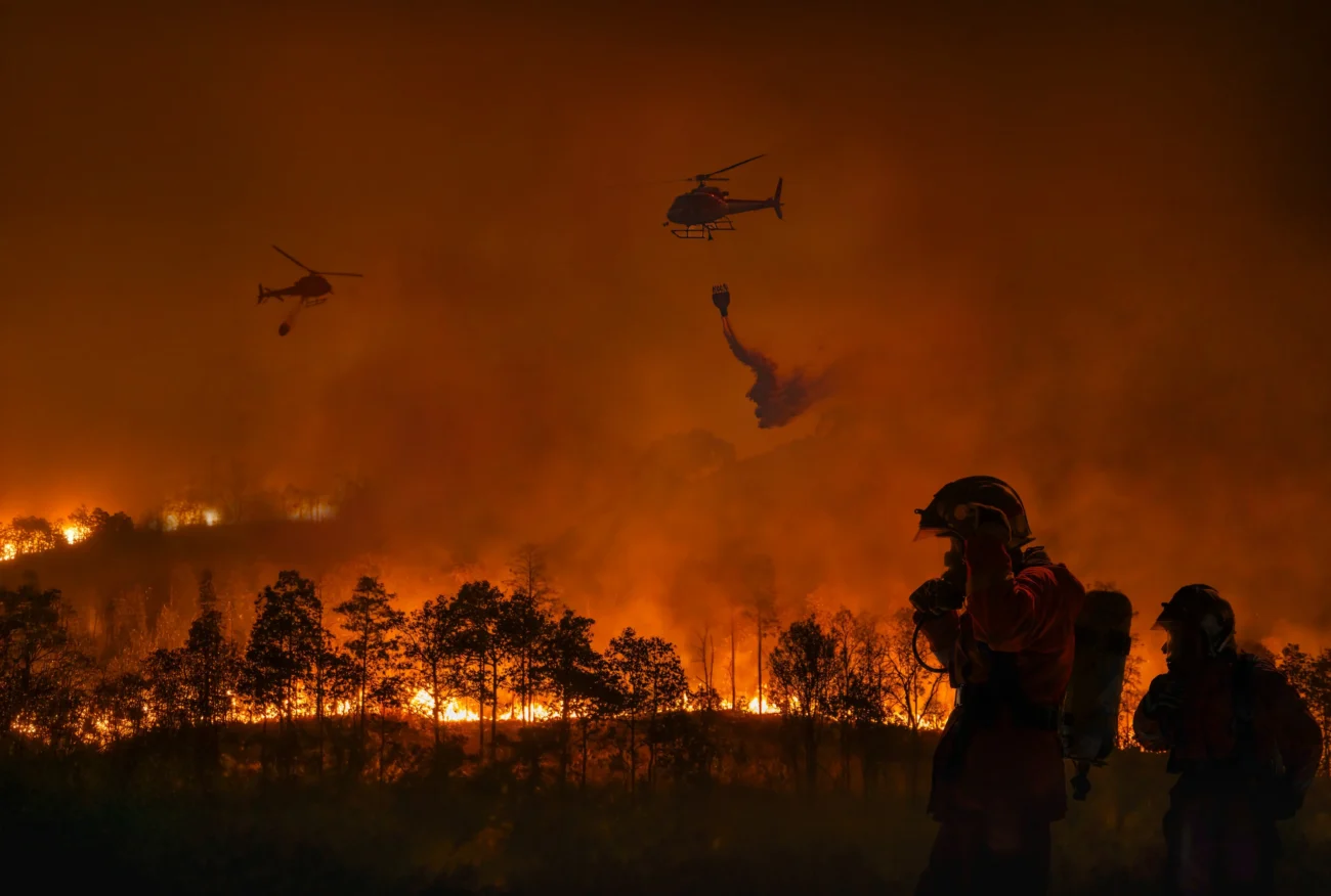 Hasiči mají s požáry plné ruce práce. Zdroj: Shutterstock | TVGURU.cz Večerní požár lesa.