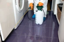 Dezinsekce domácnosti