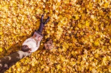 shutterstock_2063496515-2