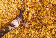 shutterstock_2063496515-2