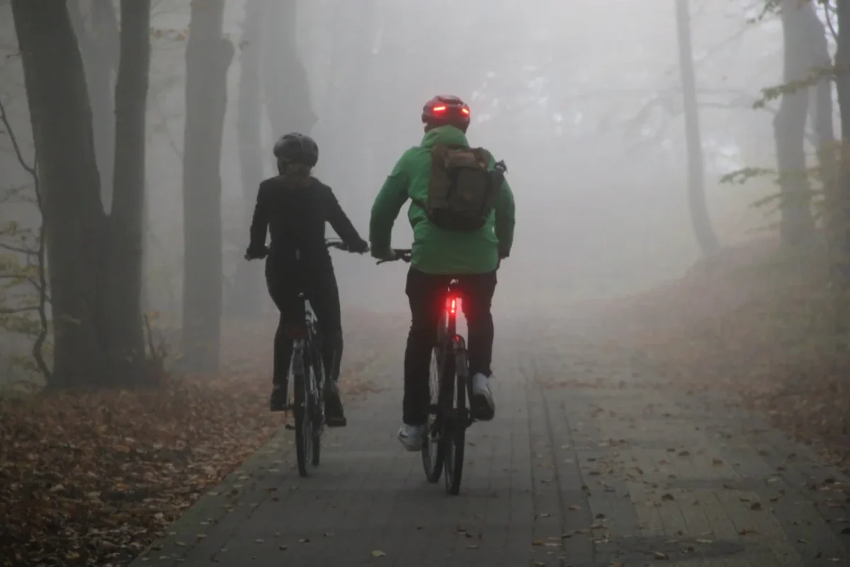 Dva lidé jedou v mlze v lese na kole.