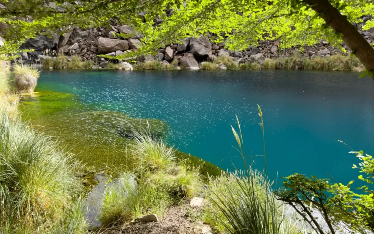 Krásně čisté jezírko mezi zelení.
