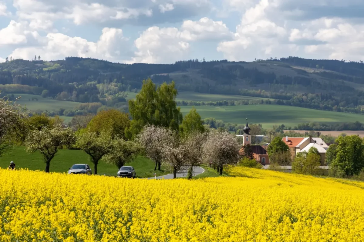 pohled na letní krajinu, oblačné počasí