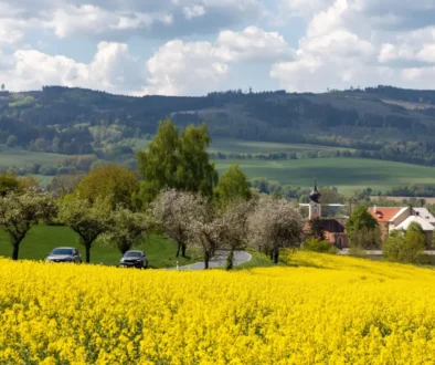 pohled na letní krajinu, oblačné počasí