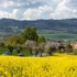 pohled na letní krajinu, oblačné počasí