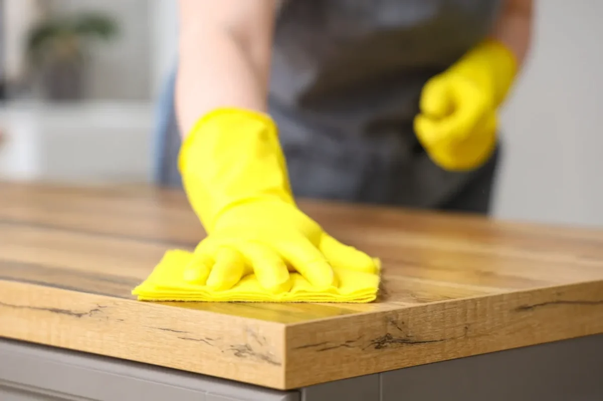 Hygiena domácnosti je základem zdravé rodiny