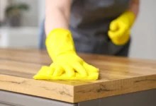 Hygiena domácnosti je základem zdravé rodiny