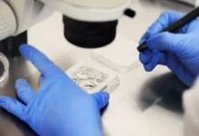 proces umělého oplodnění v laboratoři