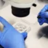 proces umělého oplodnění v laboratoři