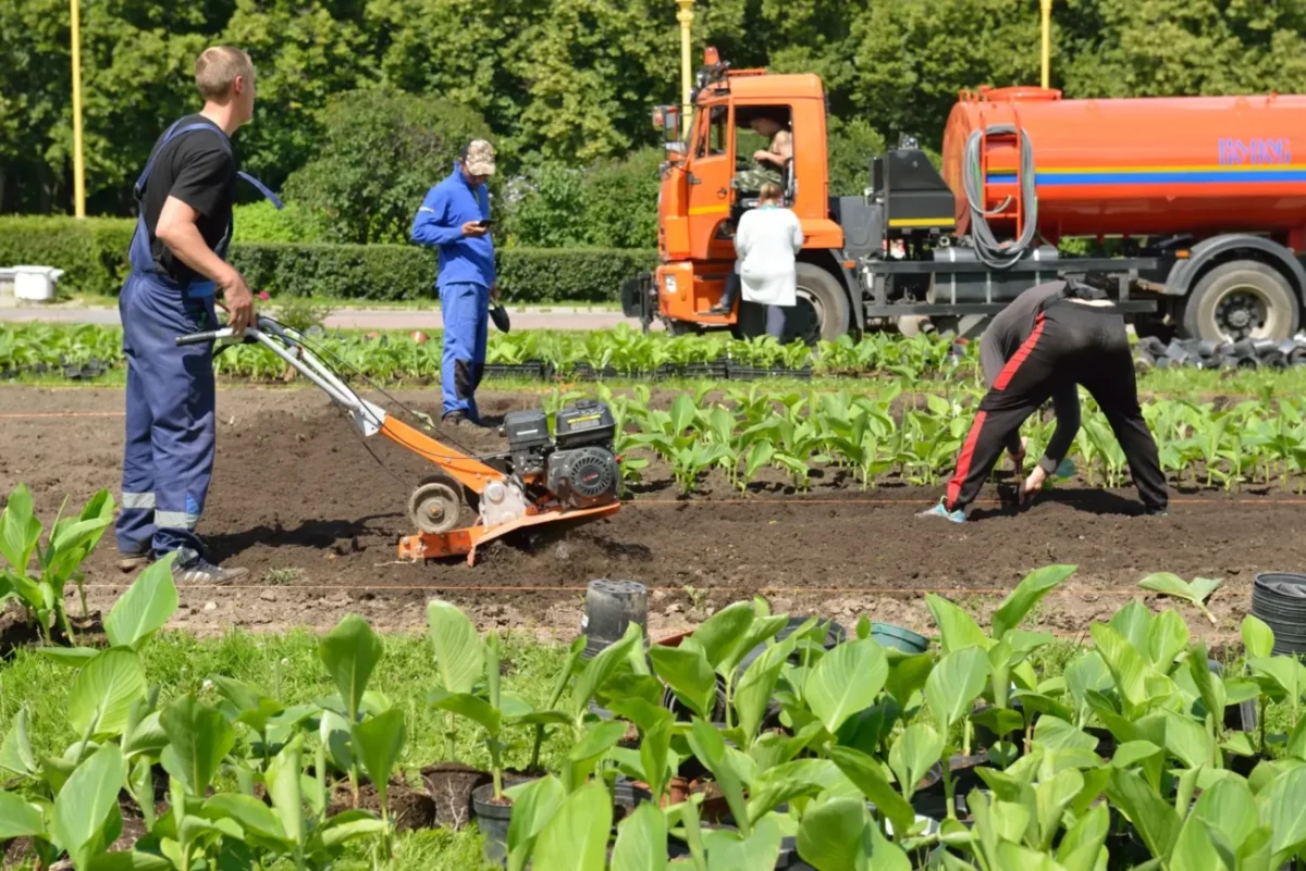 Muži pracují na poli.