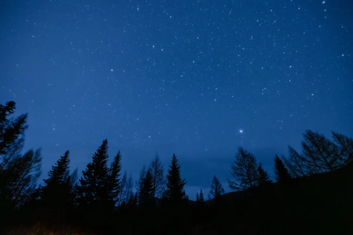 Noční obloha nad lesem.