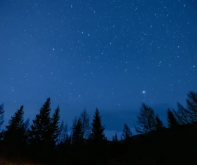 Noční obloha nad lesem.