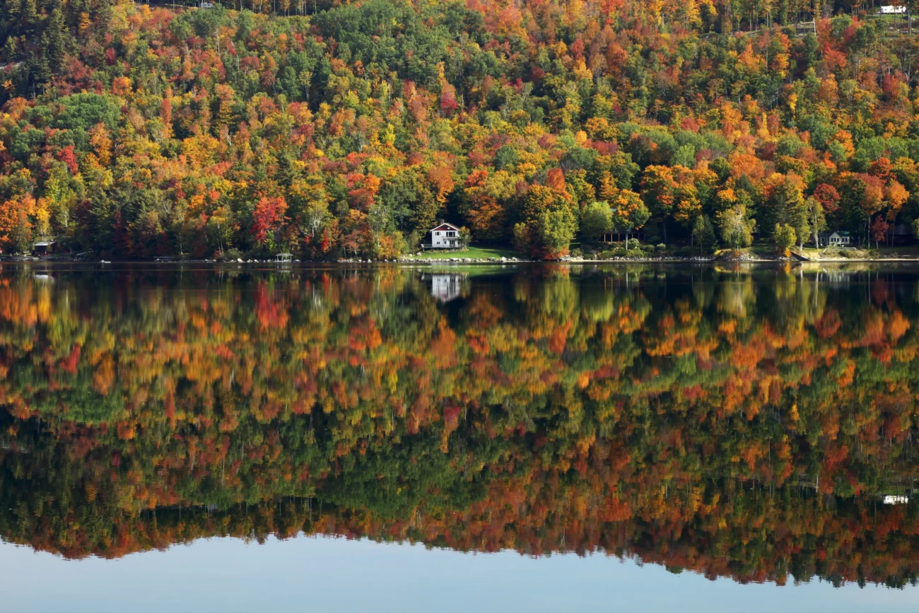 Babí léto pomalu klepe na dveře. Zdroj: Shutterstock | TVGURU.cz Podzimní stromy u vody.