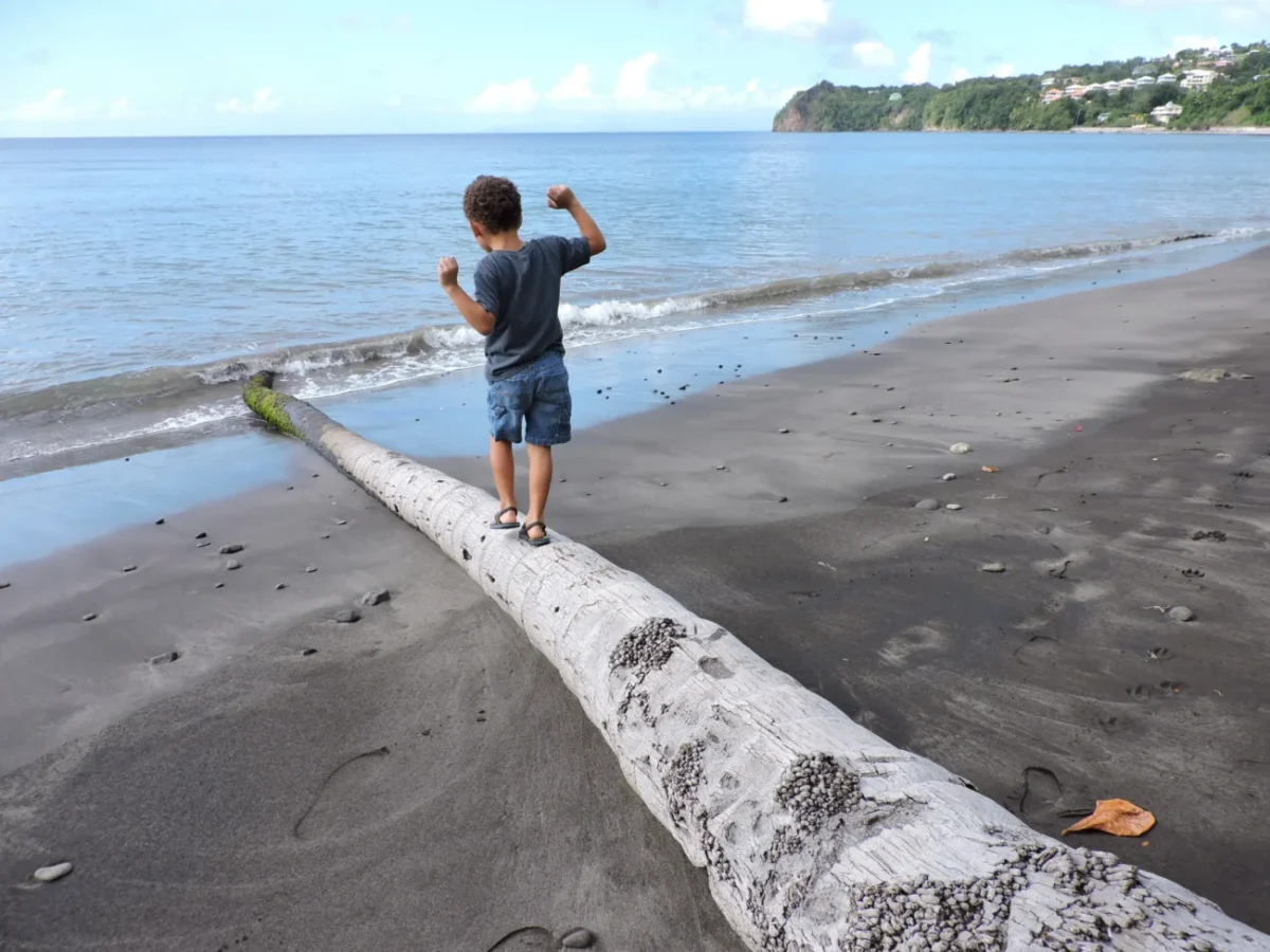 Chlapeček se na pláži prochází po kládě.