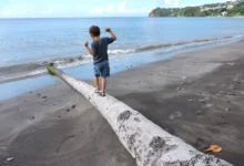 Chlapeček se na pláži prochází po kládě.
