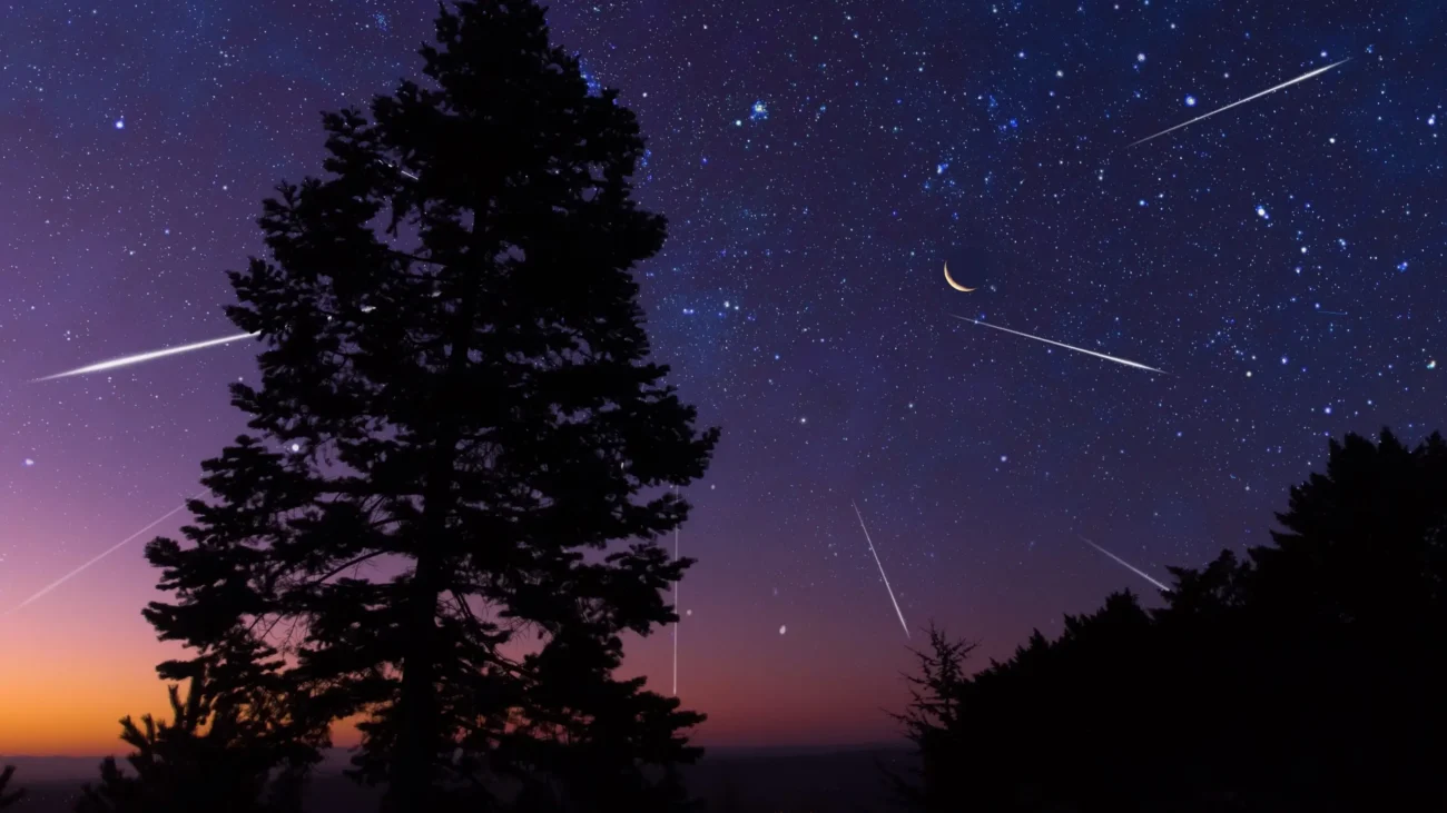 V srpnu by se měl dostavit meteorický roj. Zdroj: Shutterstock | TVGURU.cz Padající hvězdy na noční obloze.