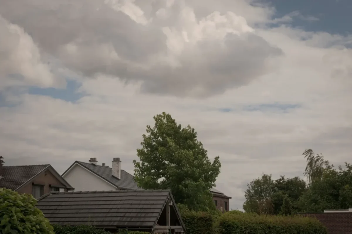 Shutterstock_2050805795