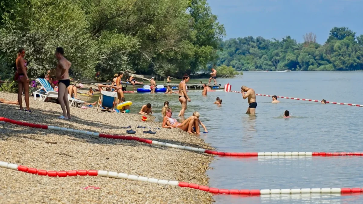 Lidé na pláži u vody.