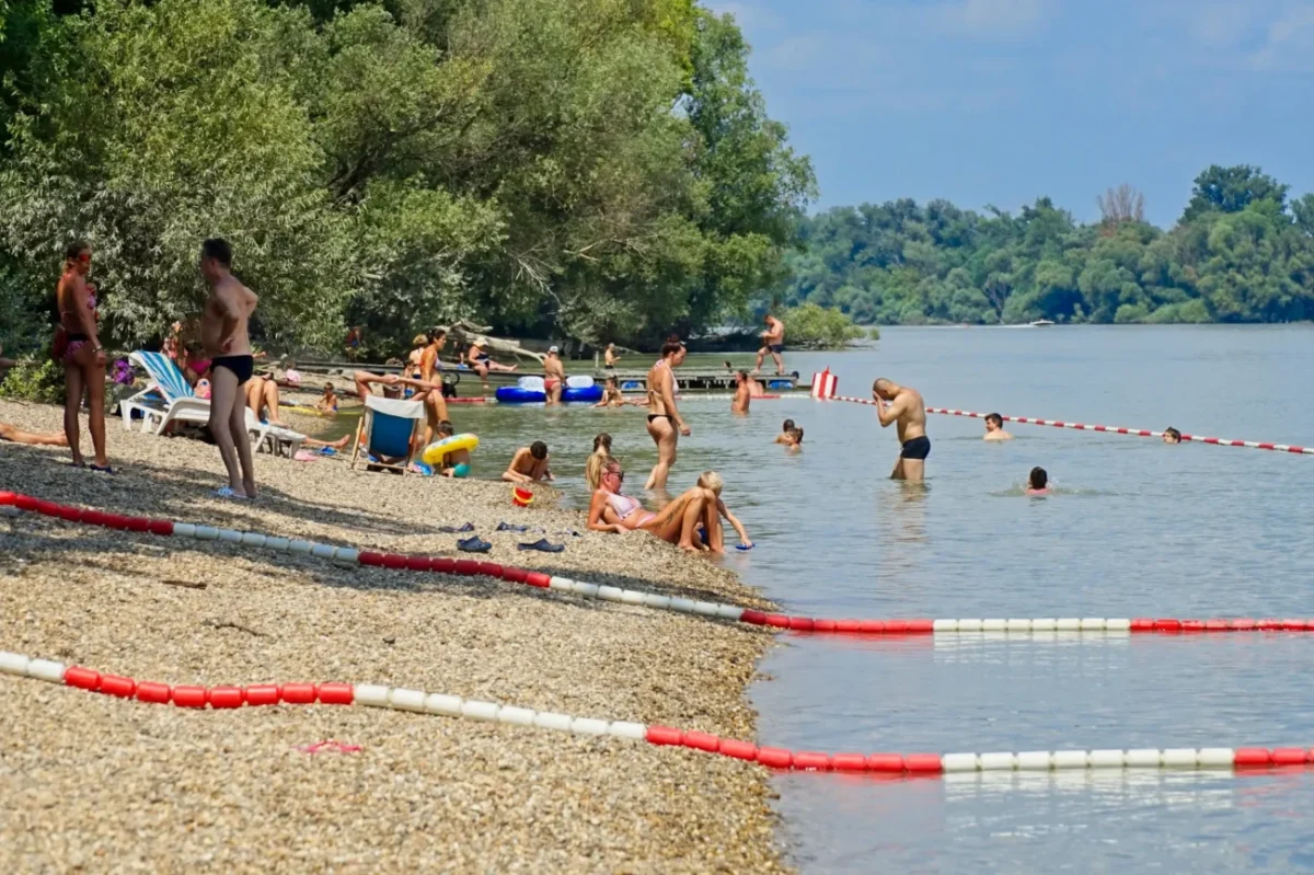 Lidé na pláži u vody.