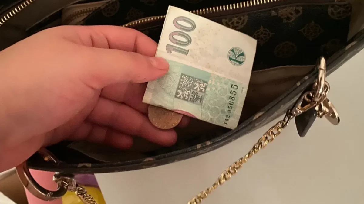 české koruny stokoruna drží ruka a dává do kabelky