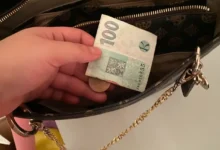 české koruny stokoruna drží ruka a dává do kabelky
