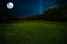 Noční louka s měsícem.