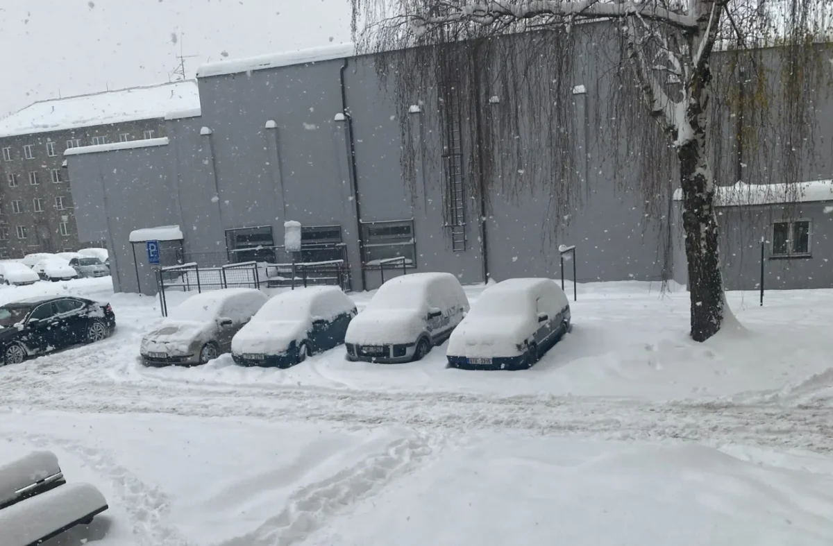 zimní počasí, sněží na ulici