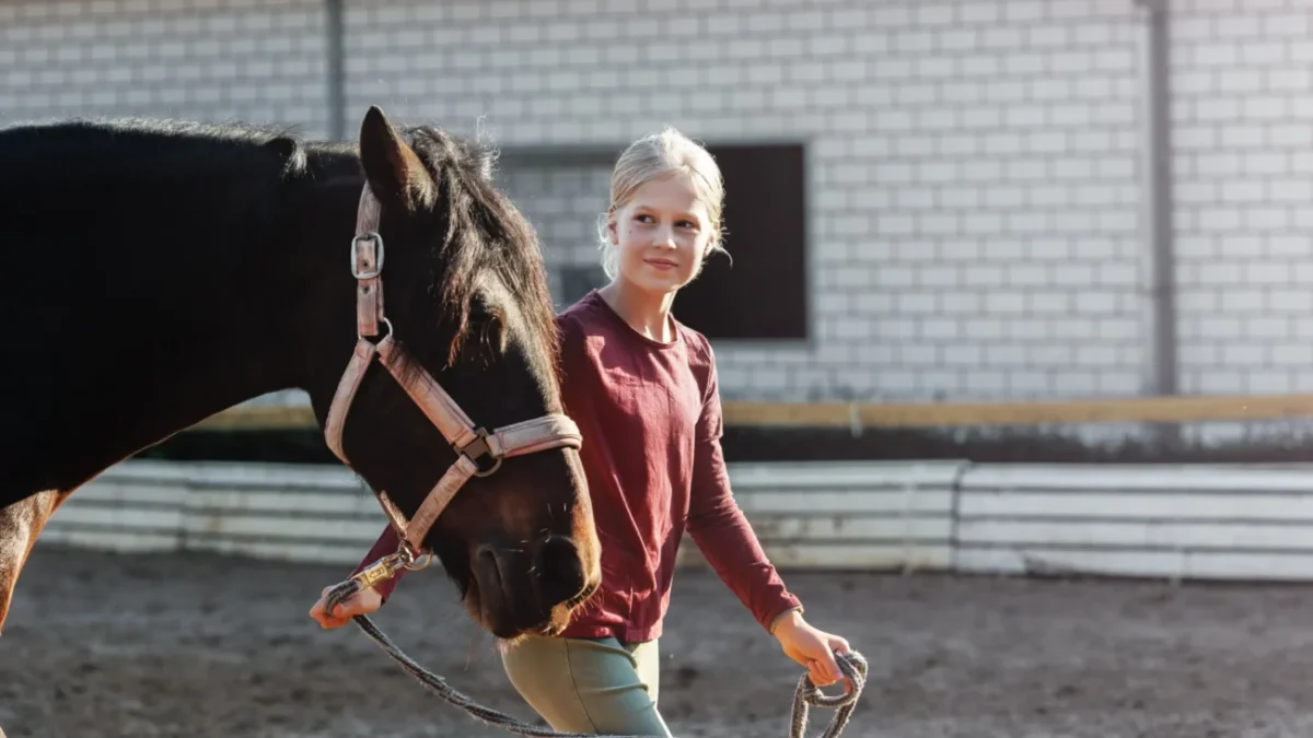 Dívka vede koně.